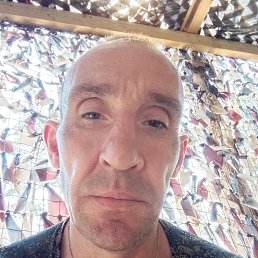 , 44, 