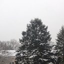  Iskender Erkan,  -  29  2023    