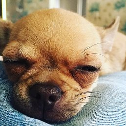 Aleksandr, ������, 37 ���