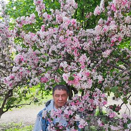 �����, 63 ����, ���