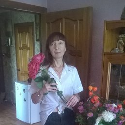 , 48, 