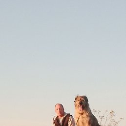 ���� ������, �������, 51 ��� - ��������� 12 �������� 2024