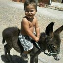 ���� �����, �����-���������, 51 ��� - ��������� 28 �������� 2025 � ������ ���� ����������