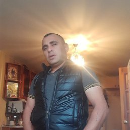 ����, ������, 46 ���