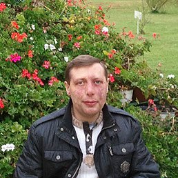 ��ya��, ���������, 51 ���