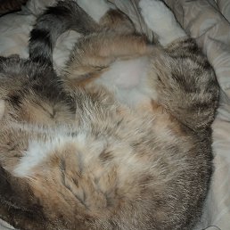 ���� �������, ������, 31 ��� - ��������� 15 ������� 2025