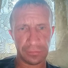 ����, ������, 43 ����