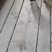 ��������, 67 ���, ���������