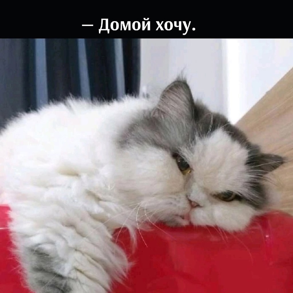       - 11  2025  17:28 - 4