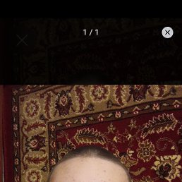 ����, 18 ���, ��������