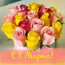 ���� ����, �������, 64 ���� - ��������� 8 ����� 2026 � ������ ������ ��������