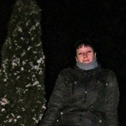 ���� �����, ������, 45 ��� - ��������� 27 ������� 2024