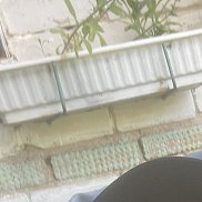 ��������, 48 ���, ������