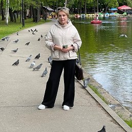 , 65, 