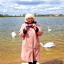 ���� ����, ����� - ��������� 14 ����� 2026 � ������ ���� ����������