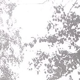 ������, ������� �����, 54 ����