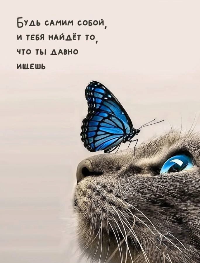   - 17  2025  16:39