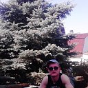 ���� �������, ������������, 41 ��� - ��������� 27 ������ 2024 � ������ ���� ����������