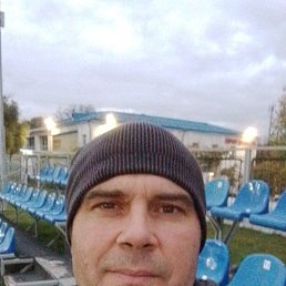 ���� ��������, ��������, 44 ���� - ��������� 14 ������� 2025