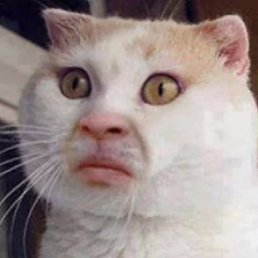 , , 25 