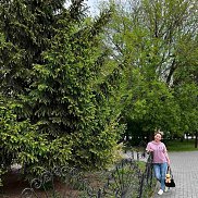 �����))), , ��������