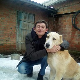 , 52, 