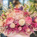 ���� ��������� ������������, ���, 26 ��� - ��������� 26 ������� 2025 � ������ ���� ����������