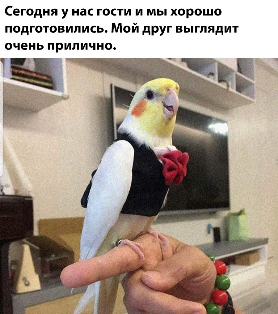 ���������� ������� - 2 ������� 2025 � 00:54