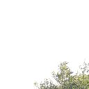 ���� �������, �������, 48 ��� - ��������� 2 ������� 2024 � ������ ���� ����������