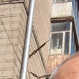 �����, ��������, 52 ����