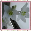 ���������� �����. �� ������� ���� ����������