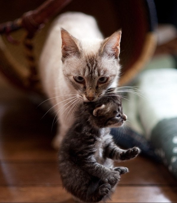 ,     ,  .   ,      ...