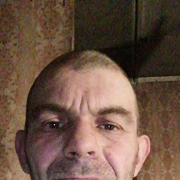 , 40, 