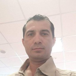 , 44, 