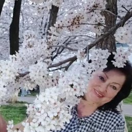 , 61, 