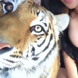 Lilit, �����������