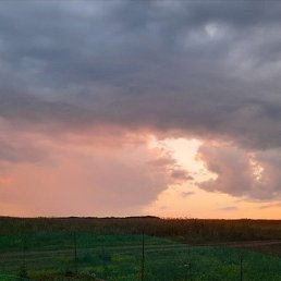 ������, ������, 54 ����