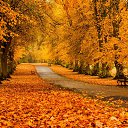 ���� ���, �����, 51 ��� - ��������� 29 ������� 2024 � ������ ������ ��������