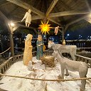 ���� ����, ������ - ��������� 7 ������ 2026 � ������ ������ ��������