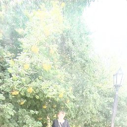 , 48, 