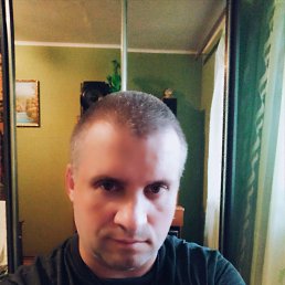 ���� ��������, �����, 43 ���� - ��������� 29 ������� 2025