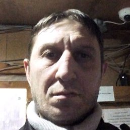 ����, �����-���������, 44 ����