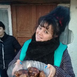 �������, ������, 62 ����