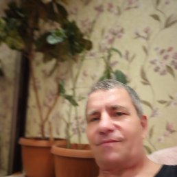 ������, 65 ���, ��������