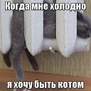 ���� ��������, �������, 45 ��� - ��������� 27 ���� 2025 � ������ ���� ����������