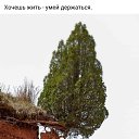 ���� ������, ����� - ��������� 3 ���� 2025 � ������ ������ ��������