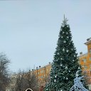 ���� ��������, ���������, 57 ��� - ��������� 11 ������ 2024 � ������ ���� ����������