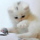 ���� =�����=���=, ��������� - ��������� 23 ���� 2025 � ������ ���� ����������