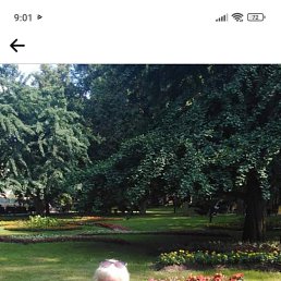 ���� ��������, ������, 54 ���� - ��������� 13 ����� 2024