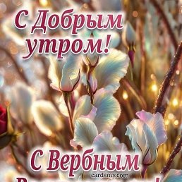 �������, ������, 41 ���